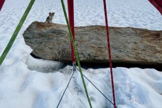 Le chihuahua a suivi de près l'opération de sauvetage de son maître. Air Zermatt